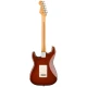Fender Player II Stratocaster Chambered Mahogany Gövde Akçaağaç Klavye Transparent Mocha Burst Elektro Gitar 2