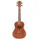 Carlos U520C Concert Ukulele 1