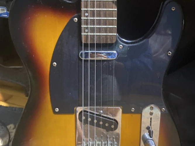 Acepro Başlangıç Gitar Seti 3