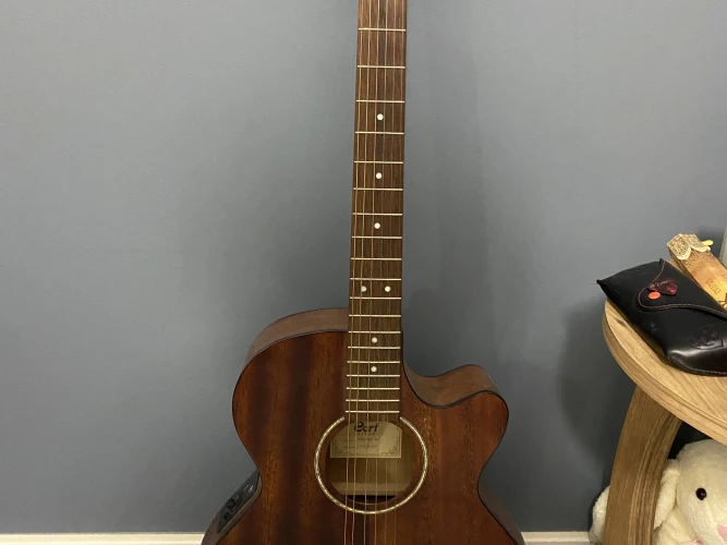 Cort SFX-MEM OP gitar 3