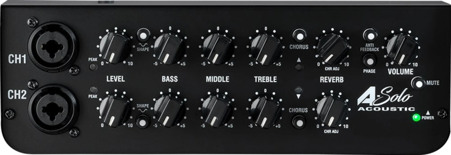 Laney A-SOLO Akustik Gitar Amfisi 2