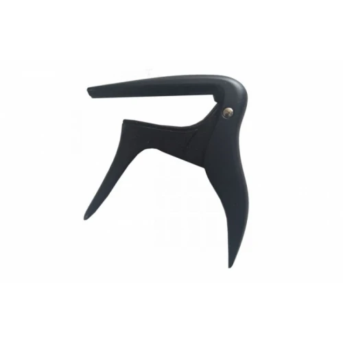 IBANEZ ICC10 Klasik Gitar Kaposu 2