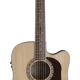 Washburn HD10SCE Heritage 10 Serisi Elektro Akustik Gitar 2