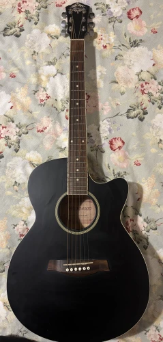 wedgwood elektro klasik gitar 2