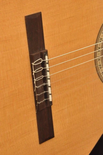 CAMPS NAC1 ECO ELEKTRO KLASİK GİTAR FISHMAN CLASSIC III 4