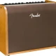 Fender Acoustic 100 UK Akustik Gitar Amfisi 3