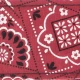 PLANETWAVES 50G02 GİTAR ASKISI, 50MM, KIRMIZI BANDANA 1