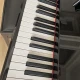 Steigerman Piyano 6