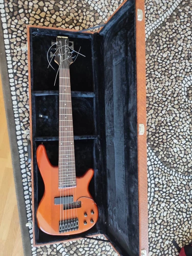 yedi telli bass 2