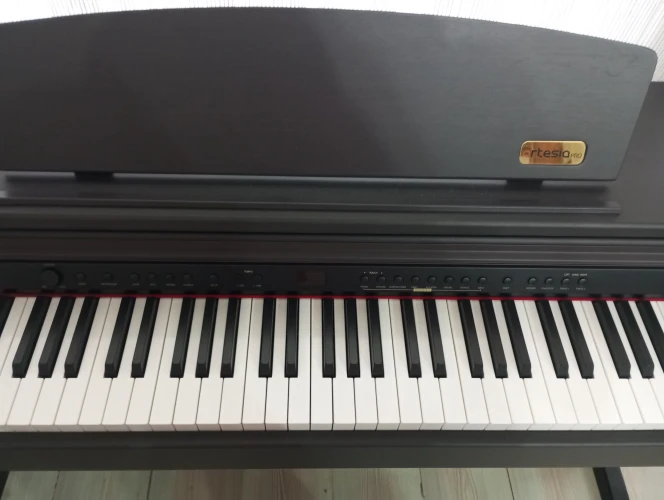 DP-3+ 2
