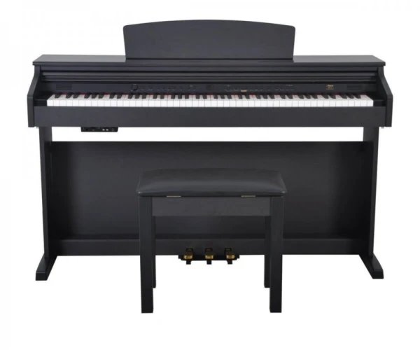 Artesia DP-3-SR Gülağacı - Dijital Piyano 1