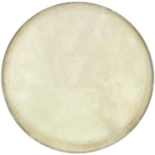 Cox Bongo Derisi (7\ 3