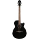 IBANEZ AEG50-BK Elektro Akustik Gitar 1