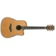 IBANEZ AW3050CE-LG 1