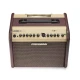 Fishman Loudbox Mini Bluetooth Akustik Amfi 2