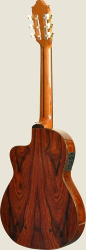 ELEKTRO KLASİK GİTAR LADİN KAPAK FISHMAN PRO BLEND 2