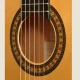 CAMPS FL11C PRO-BLEND FLAMENKO ELEKTRO KLASİK GİTAR 4