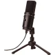 Zoom ZUM-2 USB Condencer Mikrofon 1