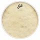 EVANS BD22CT 1