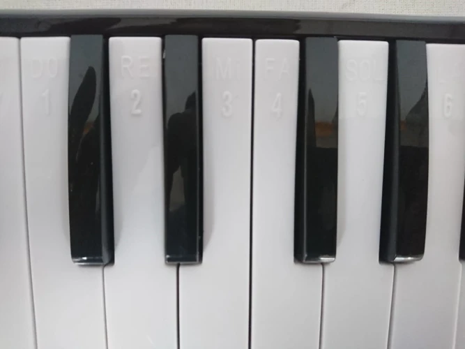 MELODİKA 32 TUŞLU PEMBE RENK 12 Lİ PAKET EVA ÇANTA 2