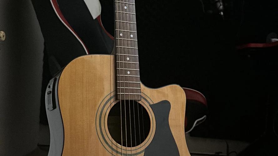 İbanez Elektro Akustik Gitar 1