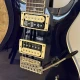 PRS SE Standart 24 Elektro Gitar 2