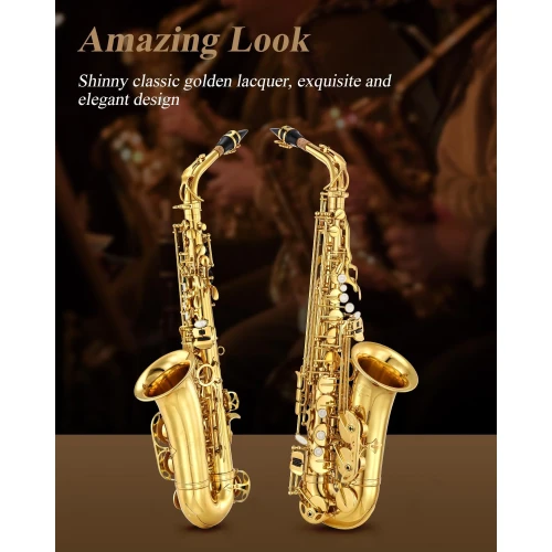 Eastar AS-II Student Mi Bemol Alto Saksafon (Gold Lacquer) 2