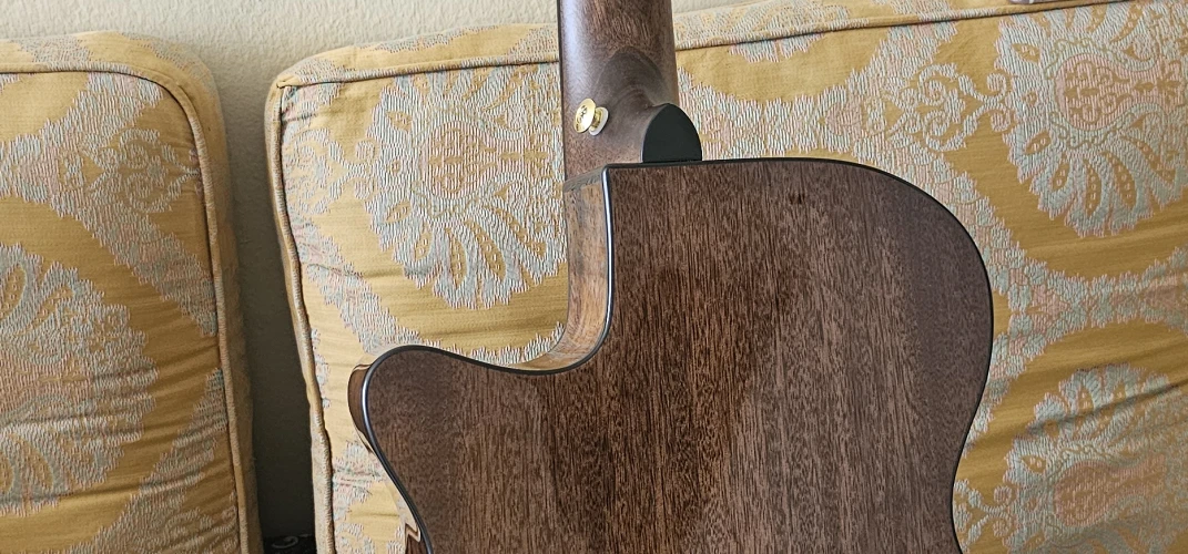 Ibanez AEG50N Bk 4