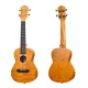 Kaysen U3-24GD Concert Ukulele 2