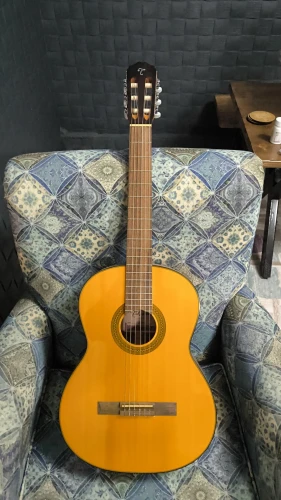 takamine gc1 nat 1