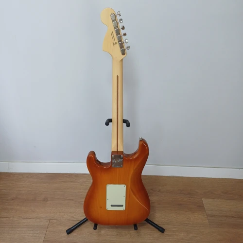 Fender Stratocaster American Performer 2