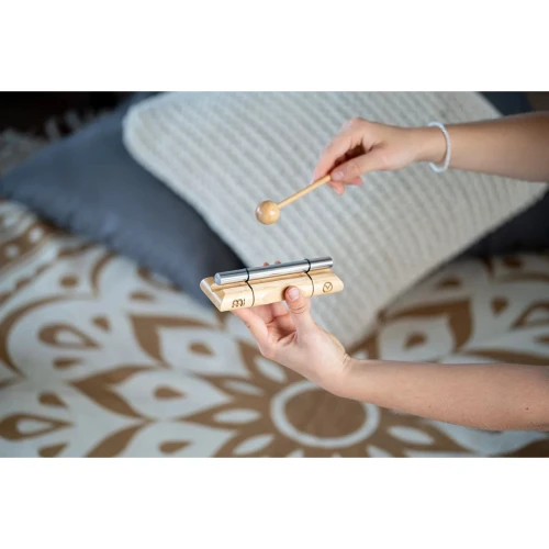 Meinl Sonic Energy EC-E-SY Energy Synodic Day Chime (Root Chakra) 2