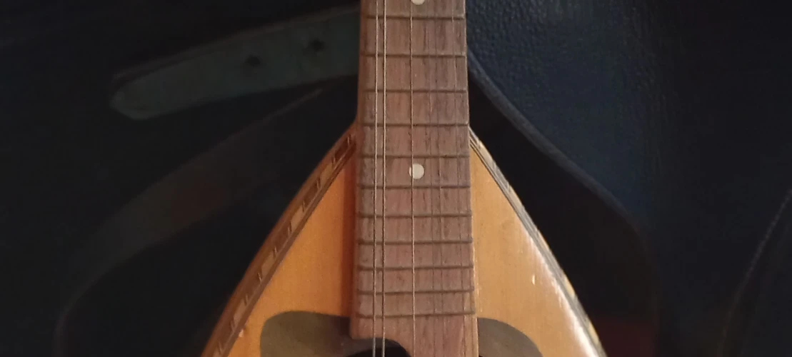 Mandolin (orj.elyapım) 6