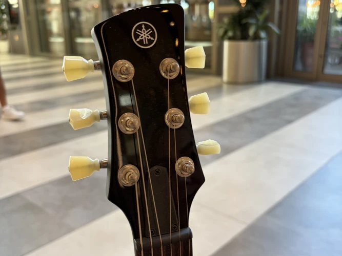Yamaha Revstar RSE20 3
