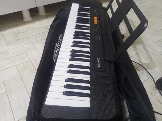 Casio CT-S100 ORG 3
