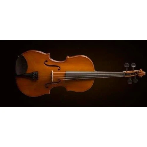 Valencia Va16041 Viyola Kutulu 16" 40,64cm 3