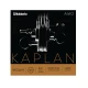 DADDARIO KA310L KEMAN TEL SETİ, KAPLAN AMO, 4/4, LIGHT 1