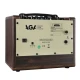 AGA SCX3P Bluetooth'lu 40W Pille Çalışabilen Akustik Amplifikatör 2
