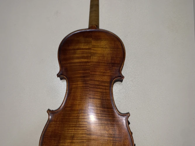 profesyonel keman Stentor Verona 3