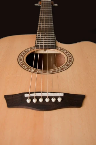 Washburn WD7SCE Harvest Elektro Akustik Gitar 2