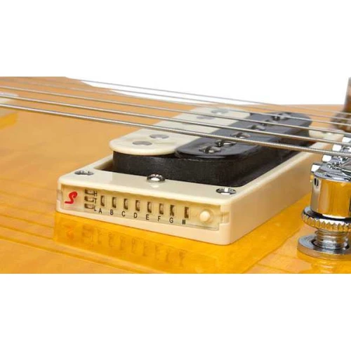 Epiphone Les Paul Special II Outfit Elektro Gitar Seti 4