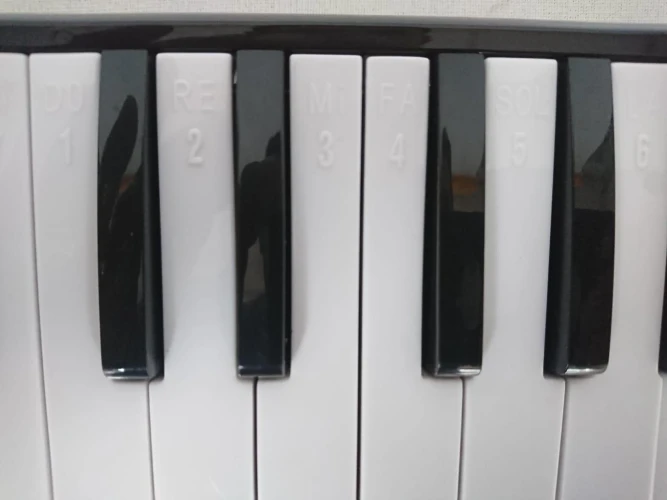 MELODİKA 32 TUŞLU SİYAH RENK 12 Lİ PAKET EVA ÇANTA 4