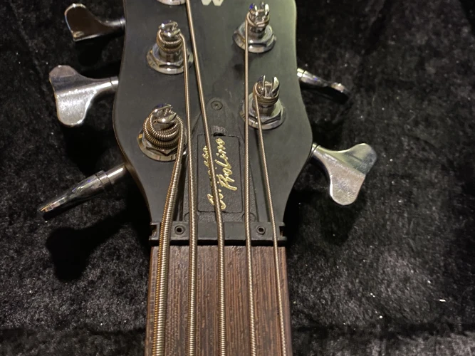 Corvette proline 5 2