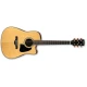 IBANEZ AW3000CE-NT 1