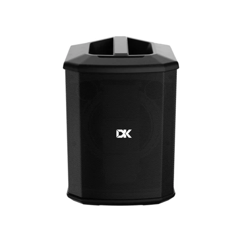 DK Technology IC-150 Akustik Gitar Amfisi 2