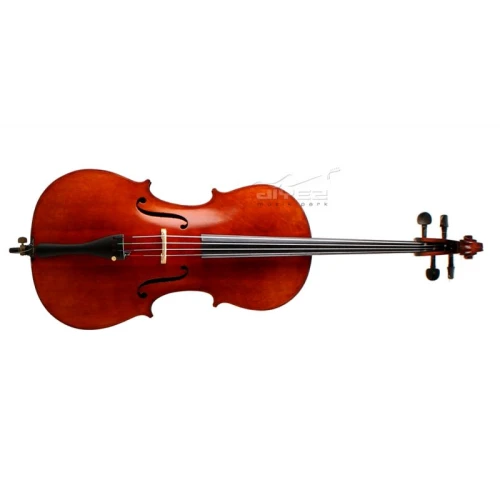 Le Mans Masif 2/4 Çello 5