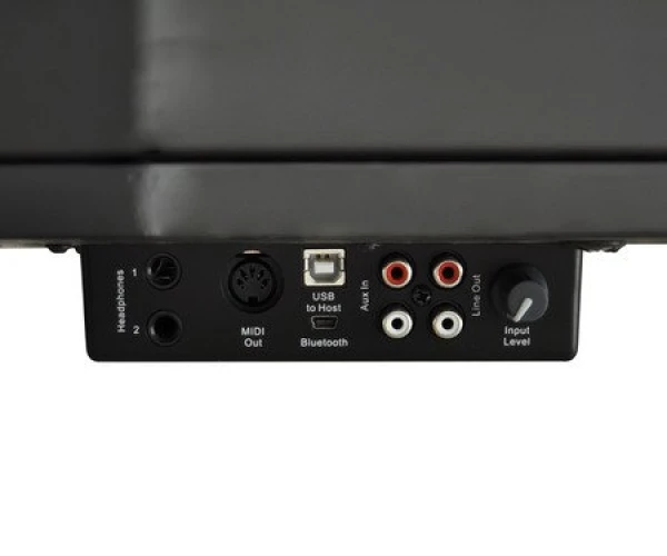 Artesia AG-30 Mikro Kuyruklu Siyah Dijital Piyano 4