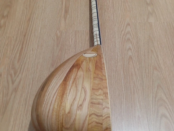 40 TEKNE DUT AĞACI KISA SAP ORTA ÜSTÜ KALİTE BAĞLAMA 4
