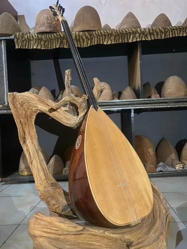 Uzun Sap Bağlama Saz 2