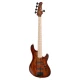 CORT GB-FUSION5ABB BASS GİTAR 1